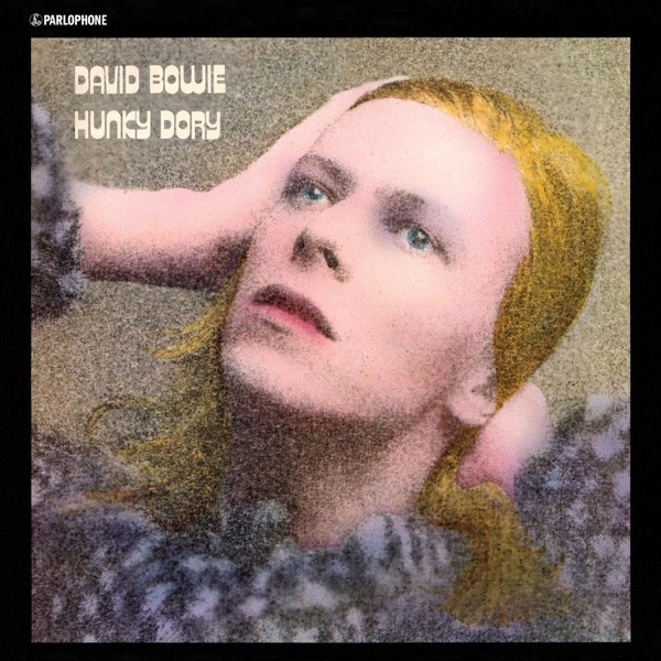 Hunky Dory 커버