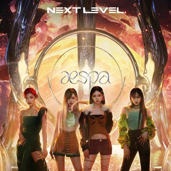 Next Level 커버